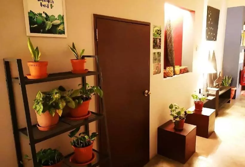 هاستل The Cottage Stay   Self Check In