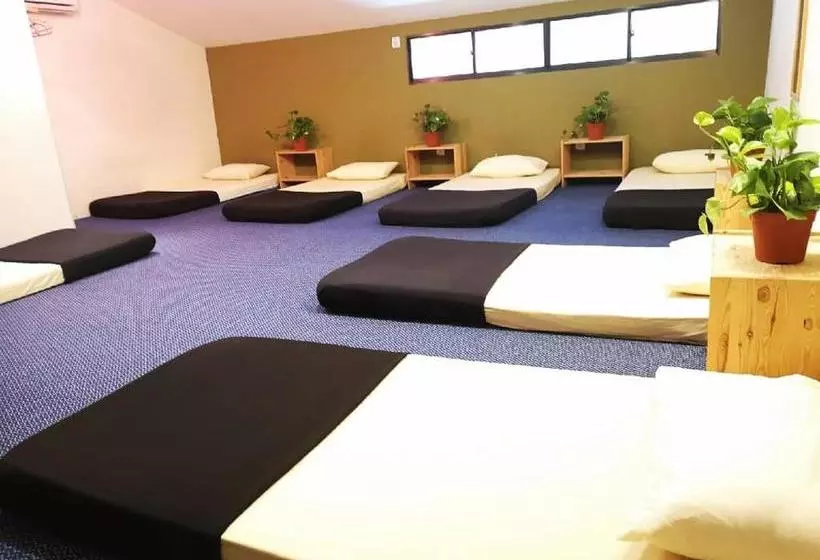 هاستل The Cottage Stay   Self Check In