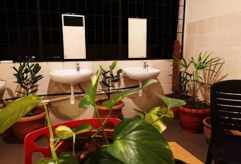 هاستل The Cottage Stay   Self Check In