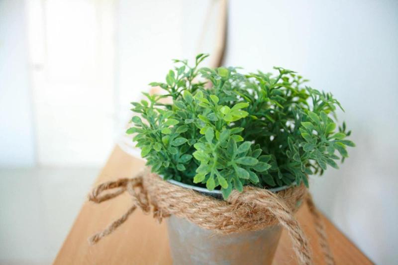 مبيت وإفطار Turtle Rooms