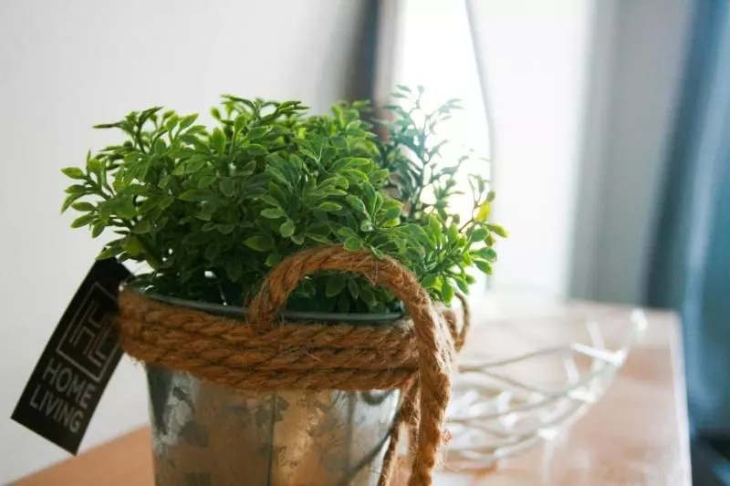 Aamiaismajoitus (B&B) Turtle Rooms