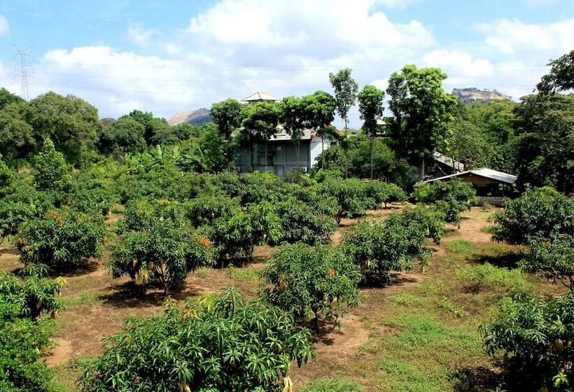 בית מלון כפרי Green Hut Nature Resort