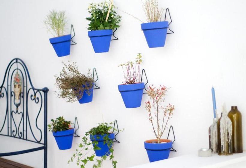 تختخواب و صبحانه Patinha Inn