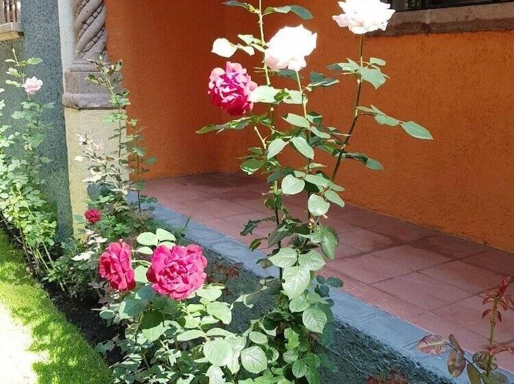 Bed and Breakfast Villa Alfonsina