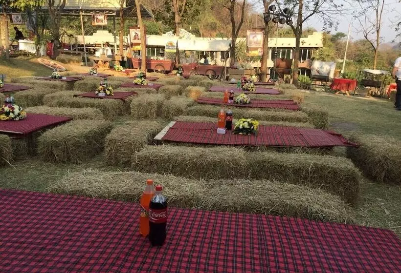 Big Joey Country Resort