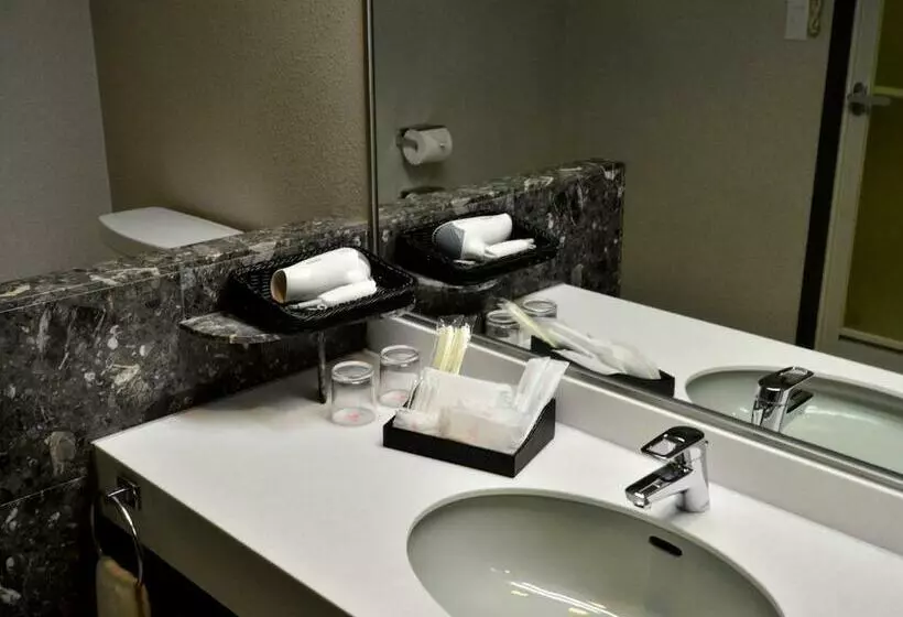 Hotelli Tanegashima Iwasaki