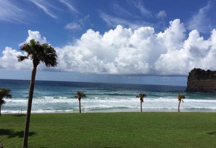 호텔 Tanegashima Iwasaki