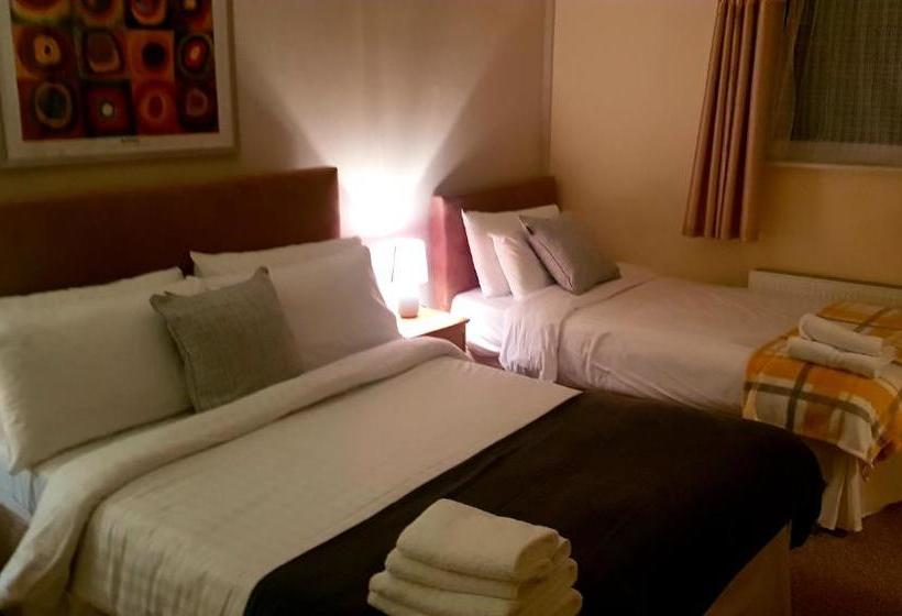 مبيت وإفطار The Auld Triangle