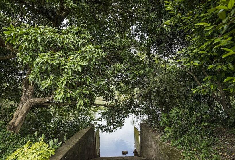 Nocleg ze śniadaniem Nadhiyoram River Retreat
