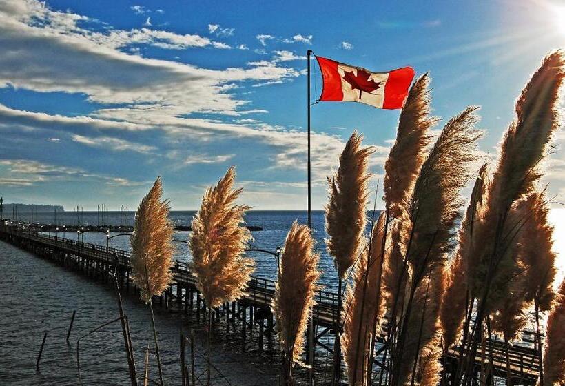 민박 White Rose House