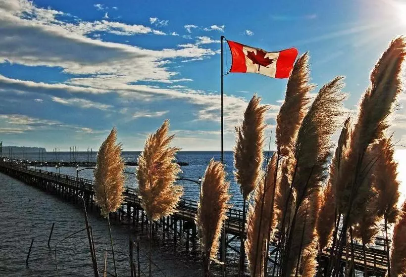 Aamiaismajoitus (B&B) White Rose House