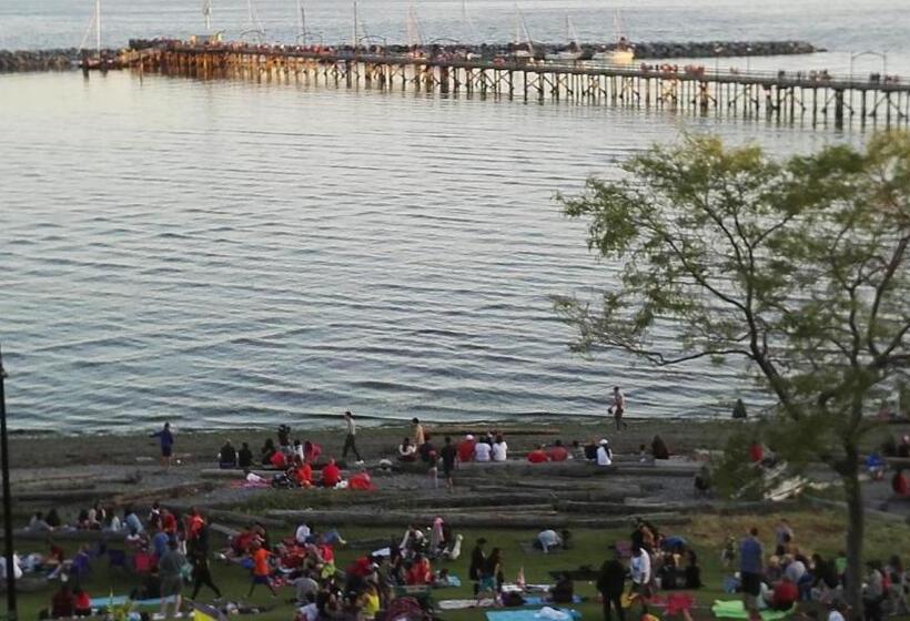 민박 White Rose House