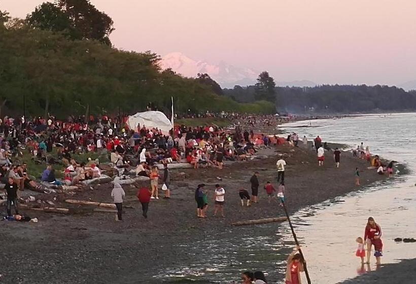 민박 White Rose House