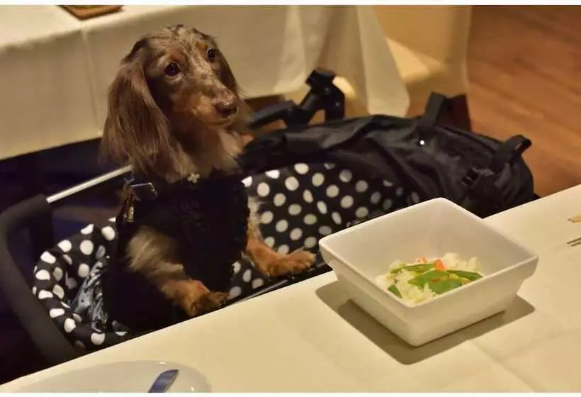 ホテル Regina Resort Karuizawa Mikageyousui