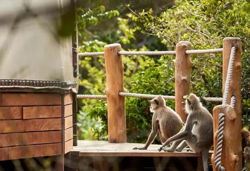 استراحتگاه Wild Coast Tented Lodge Relais And Chateaux All Inclusive