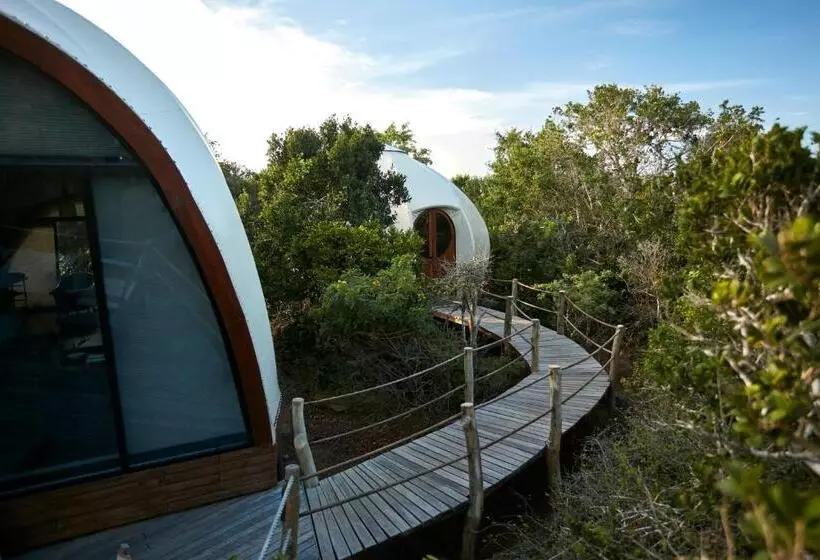 استراحتگاه Wild Coast Tented Lodge Relais And Chateaux All Inclusive