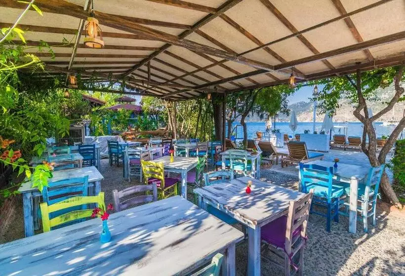 Aamiaismajoitus (B&B) Gi̇ri̇ti̇mu Evleri̇