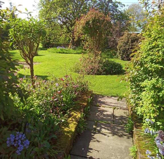 住宿加早餐  White Cottage B And B