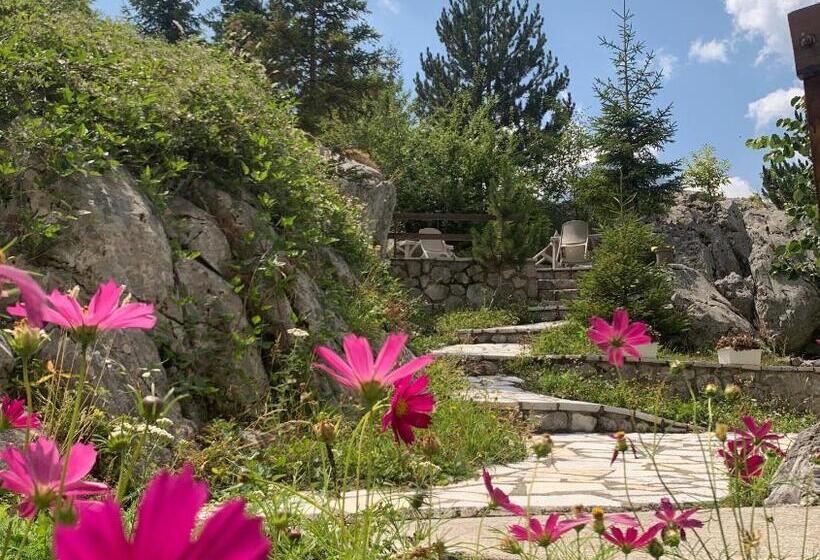 호텔 Bujtina Valbonë