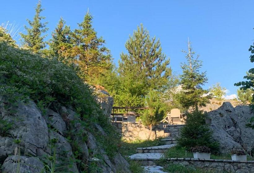 호텔 Bujtina Valbonë