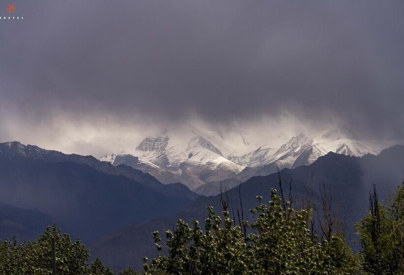 فندق صغير Zostel Leh