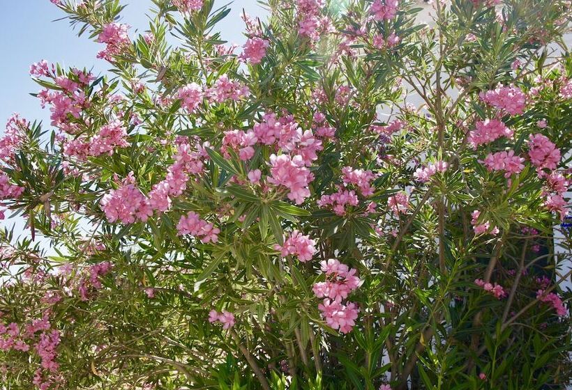 مبيت وإفطار Lo Vela Zen