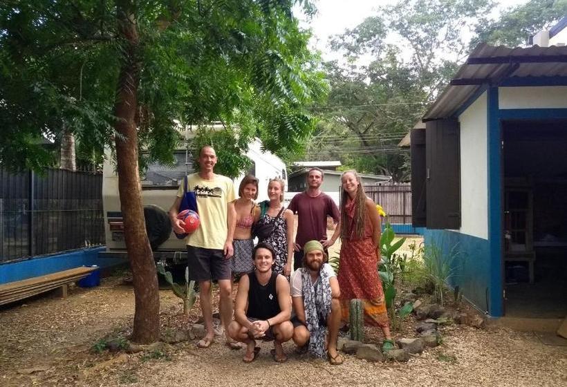 Tamahostel & Glamping