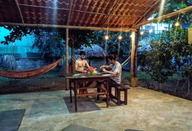 Tamahostel & Glamping