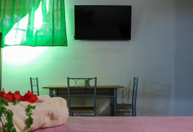 Tamahostel & Glamping