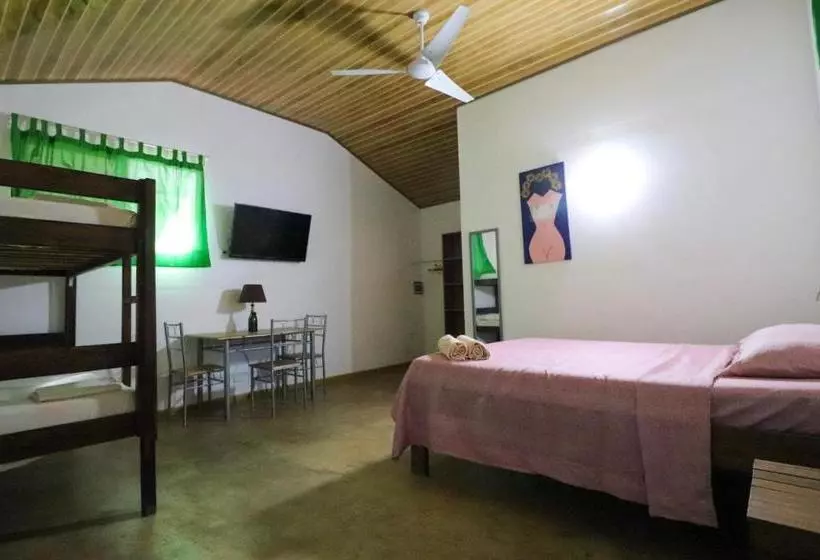 Tamahostel & Glamping