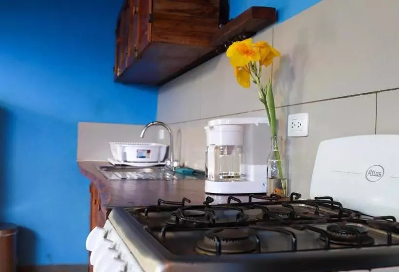 Tamahostel & Glamping