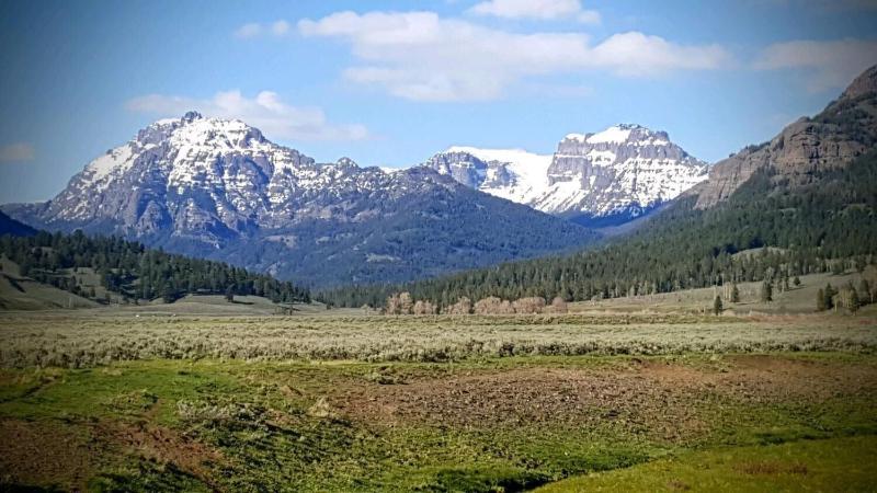 Alpine Motel Of Cooke City