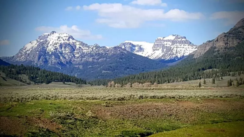 Alpine Motel Of Cooke City