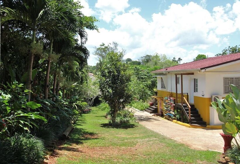 تختخواب و صبحانه Casa Da Buena Vista