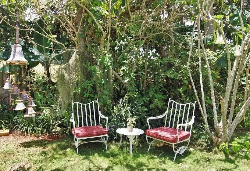 تختخواب و صبحانه Casa Da Buena Vista