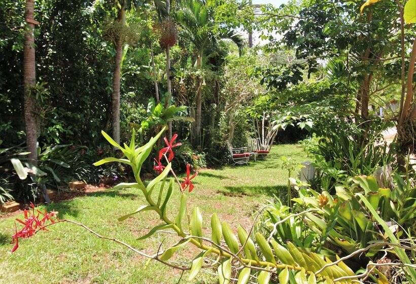 تختخواب و صبحانه Casa Da Buena Vista