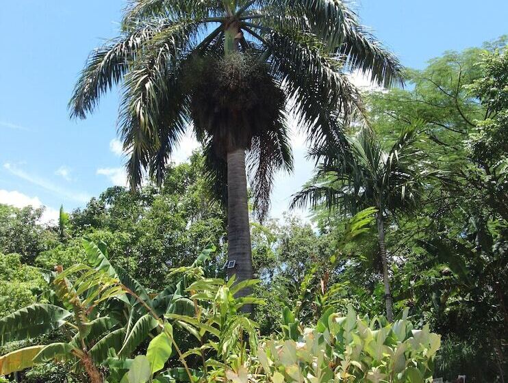 تختخواب و صبحانه Casa Da Buena Vista