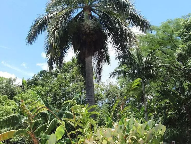 تختخواب و صبحانه Casa Da Buena Vista