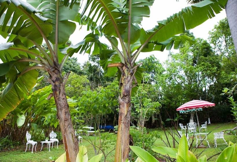 تختخواب و صبحانه Casa Da Buena Vista