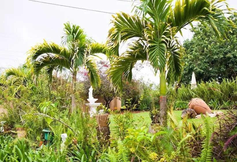 تختخواب و صبحانه Casa Da Buena Vista