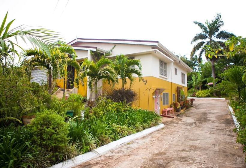 تختخواب و صبحانه Casa Da Buena Vista