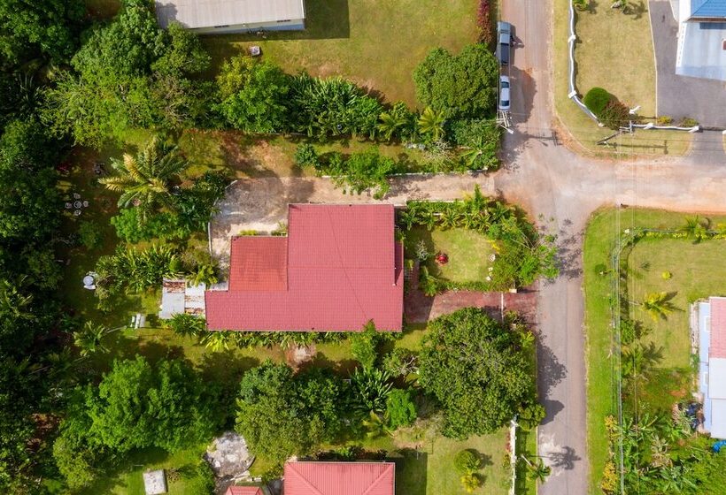 تختخواب و صبحانه Casa Da Buena Vista