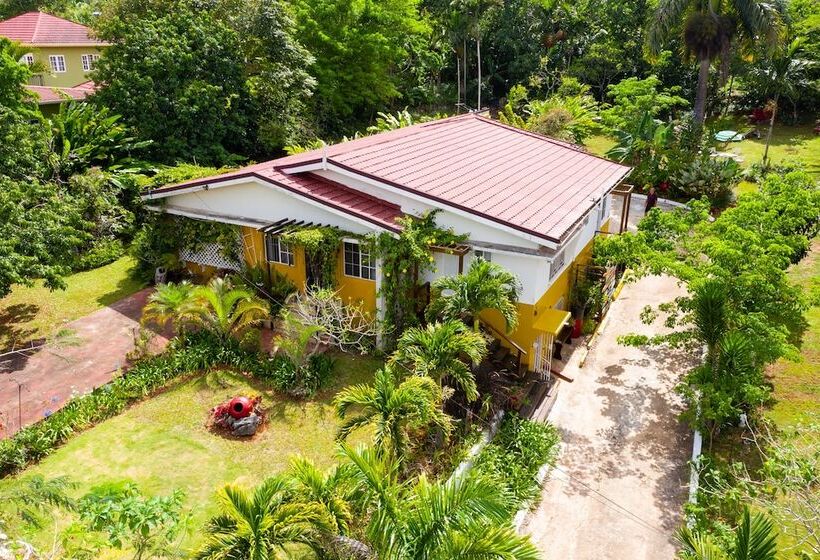 تختخواب و صبحانه Casa Da Buena Vista