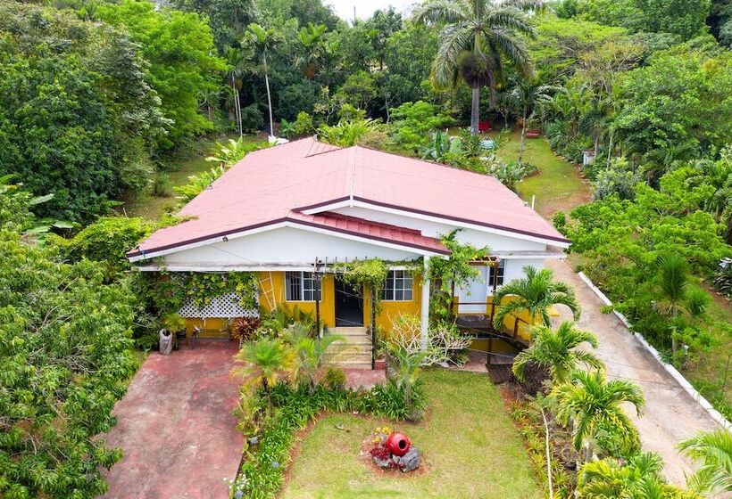 تختخواب و صبحانه Casa Da Buena Vista