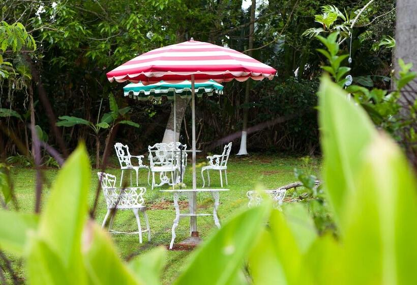 تختخواب و صبحانه Casa Da Buena Vista