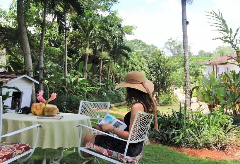 تختخواب و صبحانه Casa Da Buena Vista