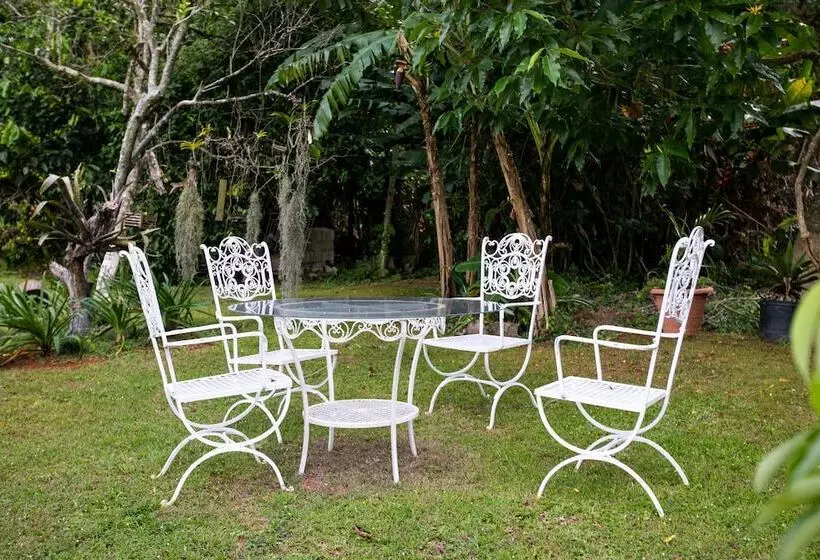 تختخواب و صبحانه Casa Da Buena Vista