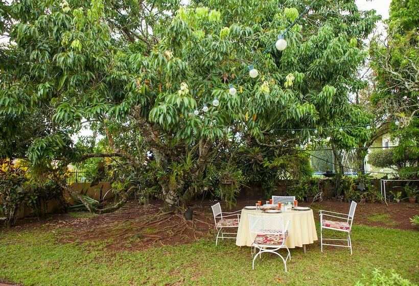 تختخواب و صبحانه Casa Da Buena Vista