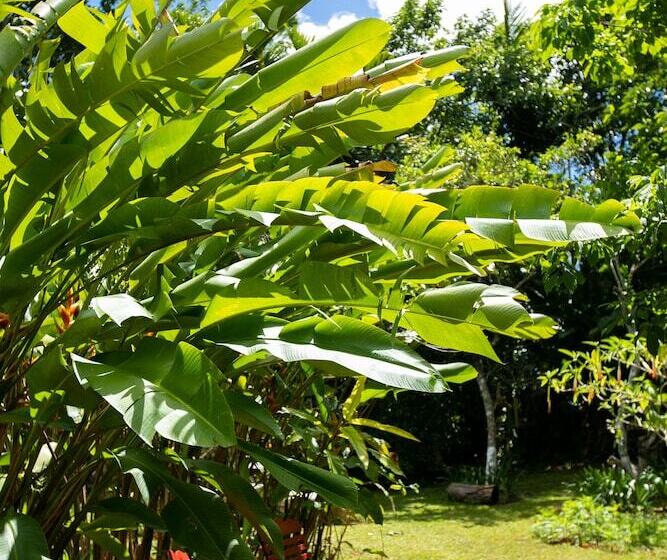 تختخواب و صبحانه Casa Da Buena Vista