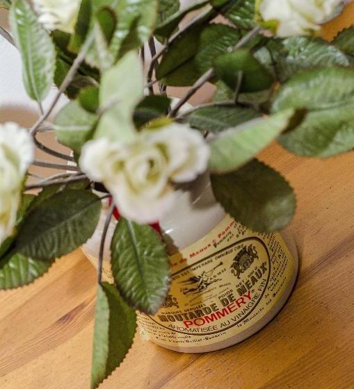 צימר Chalet Solneige